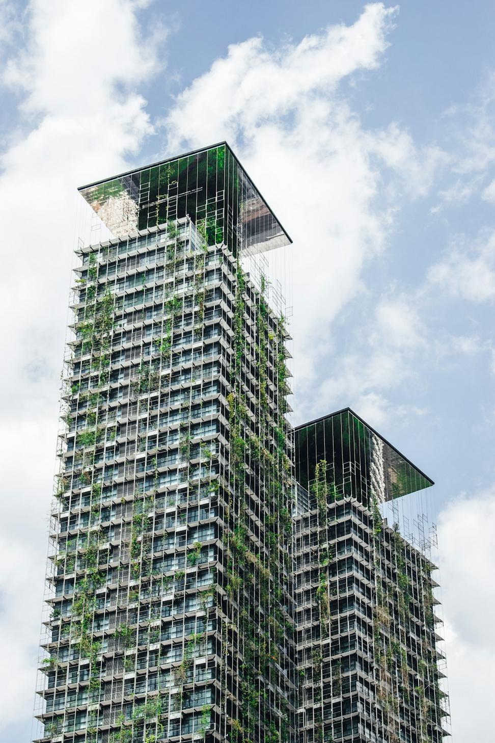 Green Roof Commercial